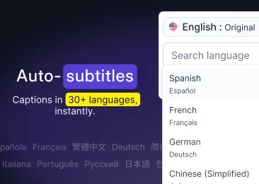 Auto-subtitles feature